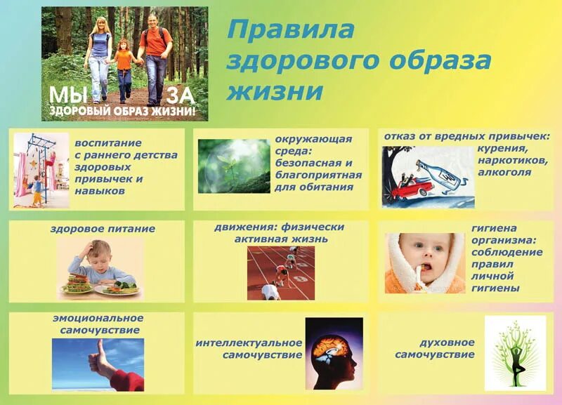 Рекомендации по профилактике зрения. Образ здорового образа жизни. Здоровый образ жизни образ жизни. Дерево здоровья проект. Советы профилактики здоровья.