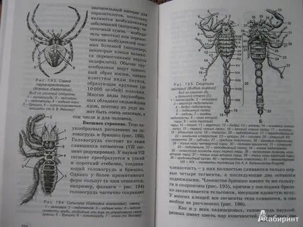 Биология для поступающих в вузы билич зигалова