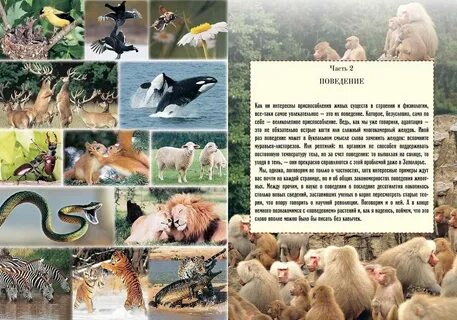 По биологии поведение животных конспект 8 класс