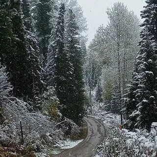 Зима в здешних