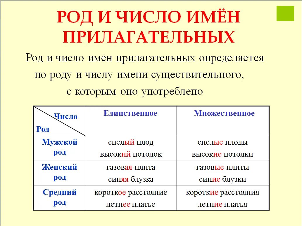 Как определить род и число прилагательного 4 класс. Как определяется род и число имён прилагательных. Как определить род имен прилагательных. Правила определения рода у имён прилагательных. Первый род прилагательного