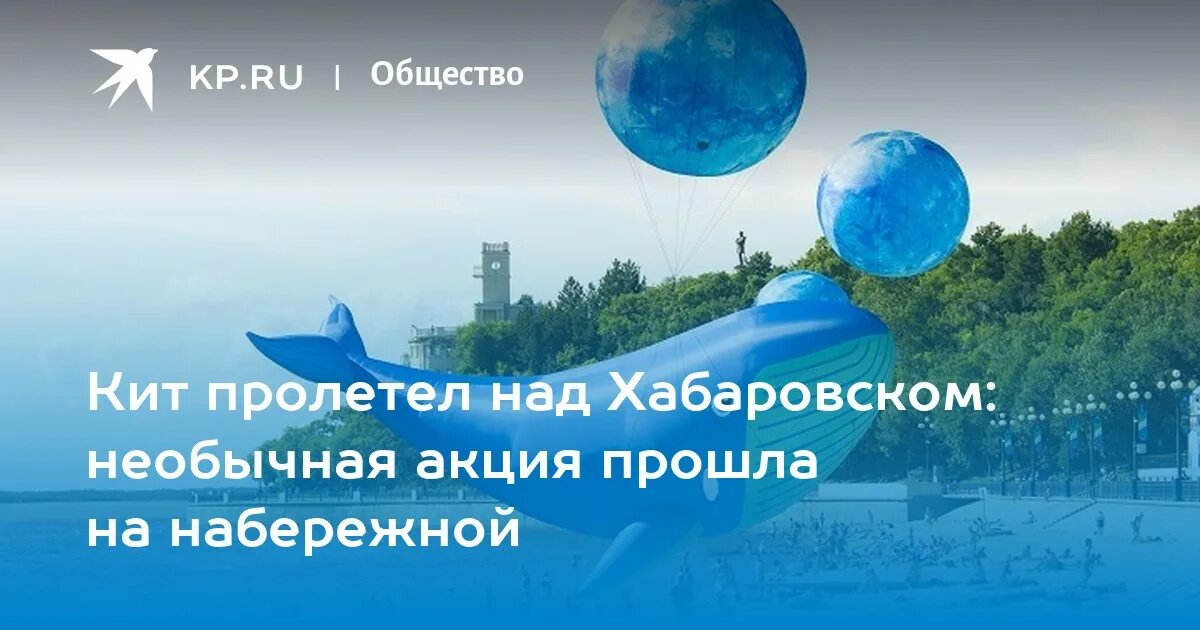 Что пролетело над хабаровском. Киты Хабаровский край. Хабаровск киты. Над Хабаровском. Кит с крыльями Хабаровск.