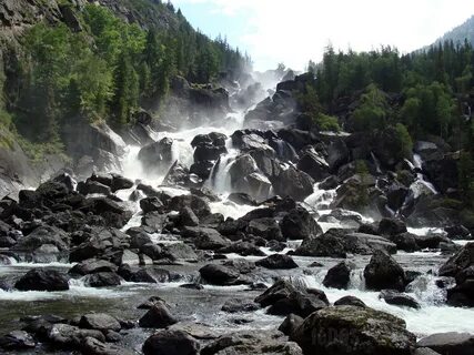 Куркур алтай горный