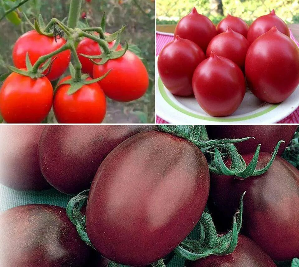Какие помидоры нужно сажать. Де Барао гибрид f1. Томат Торнадо f1. Сорт томатов де Барао f 1. Де Барао красный томат семена Сибирский сад.