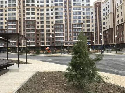 Квартира жигулина роща