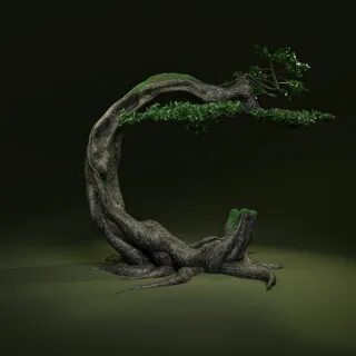 Tree c