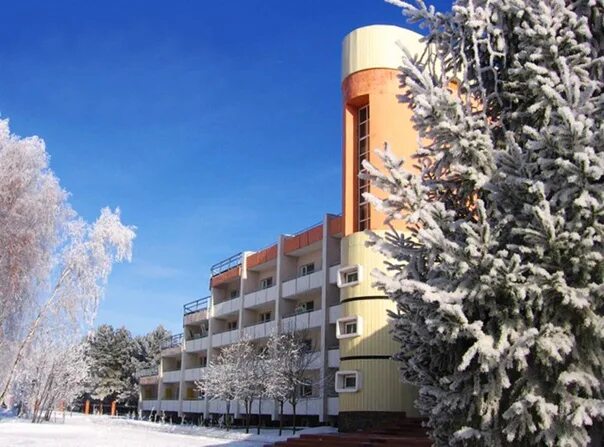 Санаторий золотой берег новосибирск сайт. Санаторий профилакторий золотой берег. Санаторий золотой берег бердск. Санаторий чемской бор новосибирск. Санаторий золотой берег бердск.
