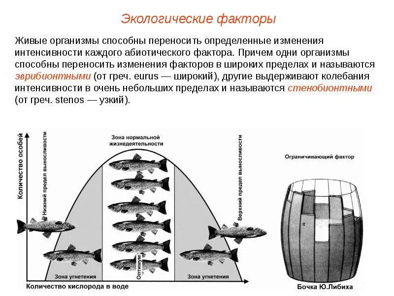 Влияние фактора окружающей среды на организм. Экологические факторы экосистемы. Действие экологического фактора на живой организм. Экологические факторы и их воздействие на живые организмы. Экологические факторы и их влияние на живые организмы.