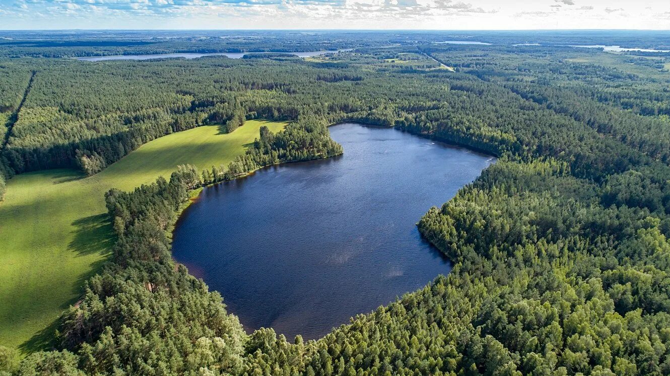 Пашки — деревня в полоцком районе витебской. Полоцком районе. Витебская область деревня рудня. Замелочье витебская область деревня. Озеро суя.