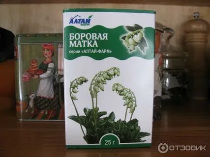 Пью боровую