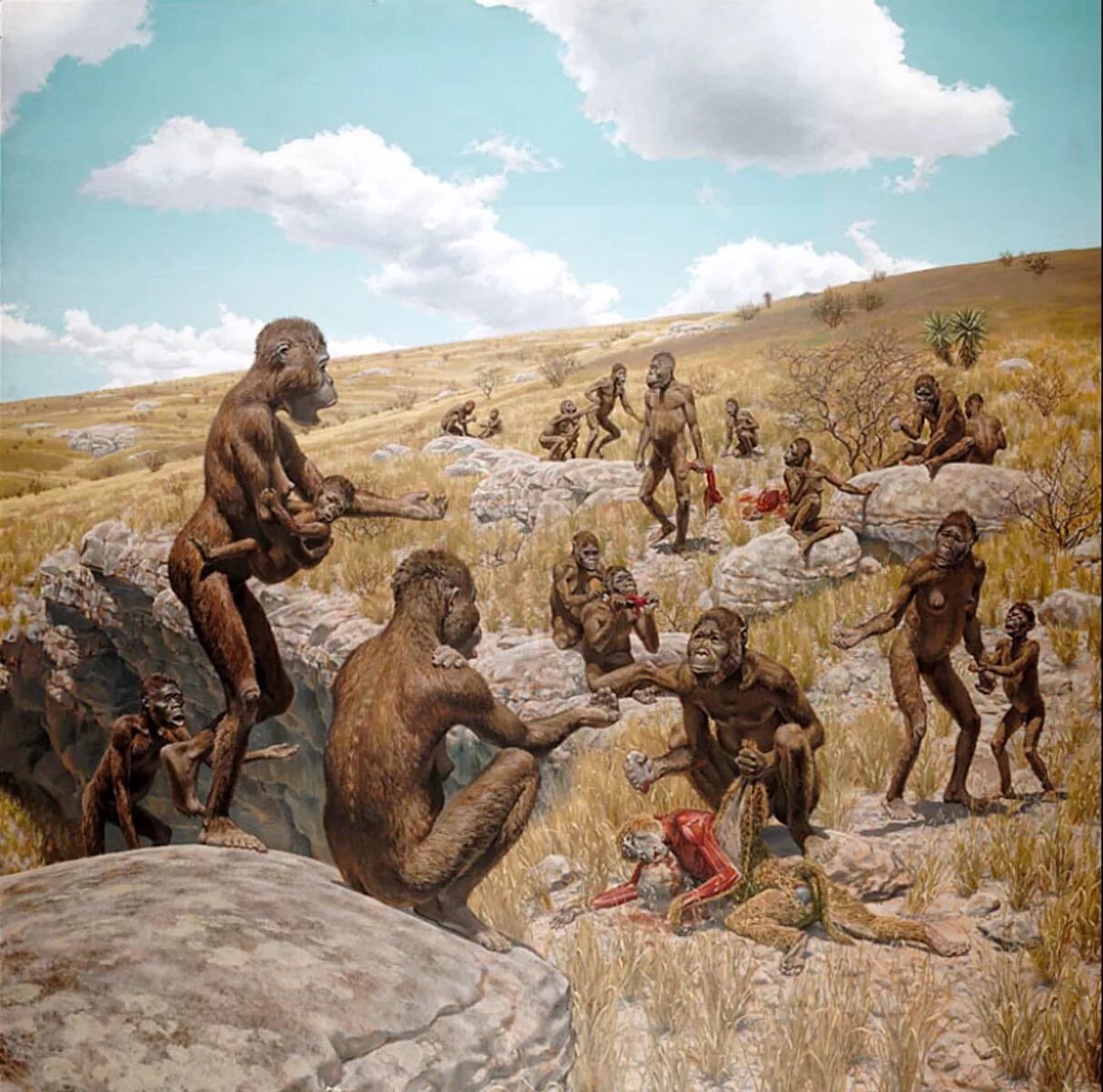 Далекими предками человека были. Австралопитек Африканус. Австралопитек Эра. Австралопитеки первое семейство. Австралопитек эпоха.