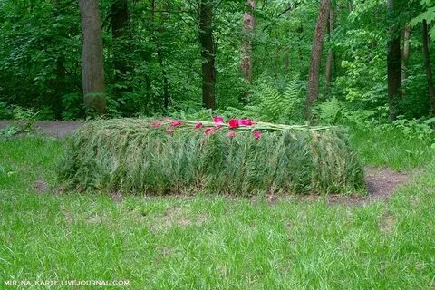 Муравейные братья