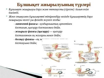 Жас траннилермен жыныстық қатынас
