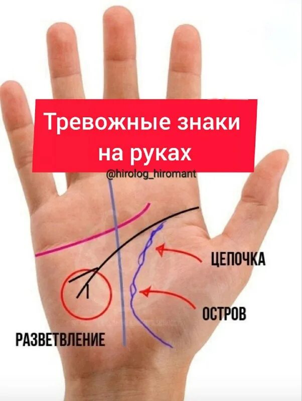 Хиромантия линии. Хиромант профессия. Линии левой руки расшифровка. Хиромантия линии жизни на ладони. Хиромантия борис акимов.