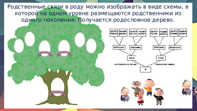 Год родственные связи. Родственные связи в виде схемы. Дерево родственных связей. Родственнвенные связи. Родственные виды деревьев.