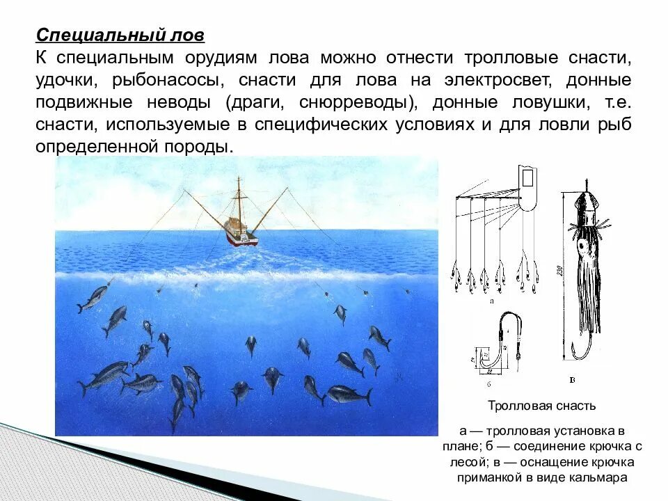 Промысловые орудия лова. Классификация орудий лова рыбы. Орудия лова промышленного рыболовства. Ловушки - стационарные орудия лова,.