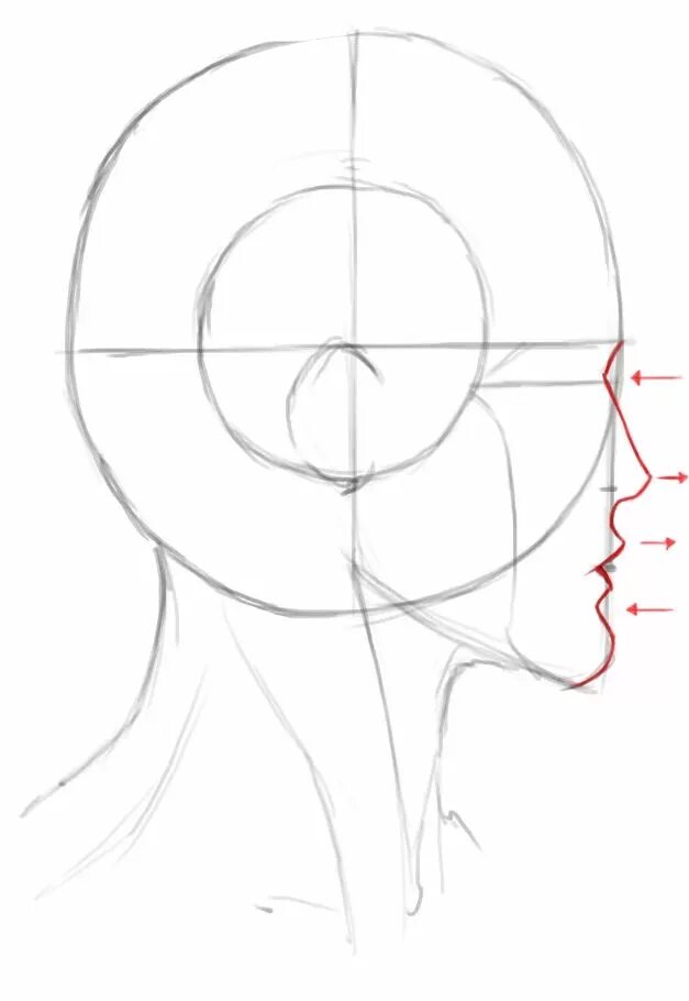 Профиль человека рисунок. Рисование лица в профиль. Поэтапное рисование лица в профиль. Рисование головы в профиль. Профиль поэтапно