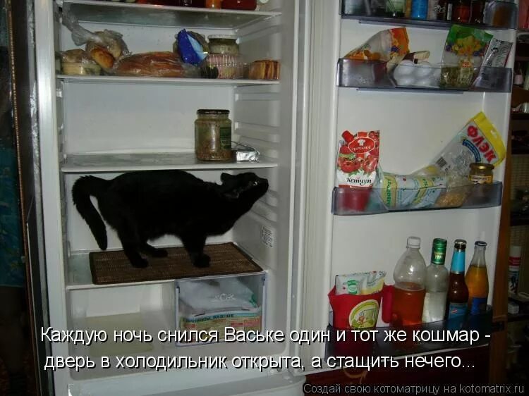 Песня открываю холодильник. Прикольный холодильник. Кот в холодильнике. Холодильник ночью. Открытый холодильник ночью.