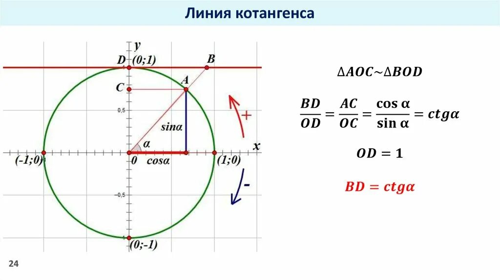 Тангенс -1 на окружности. TG на единичной окружности. Ось котангенса на единичной окружности. Тригонометрический круг синус и косинус тангенс и котангенс.