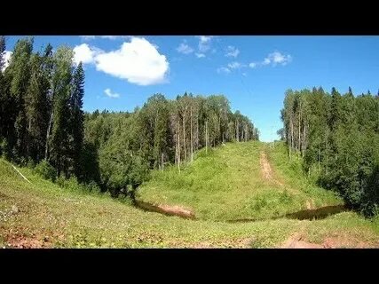 Мшинская луга
