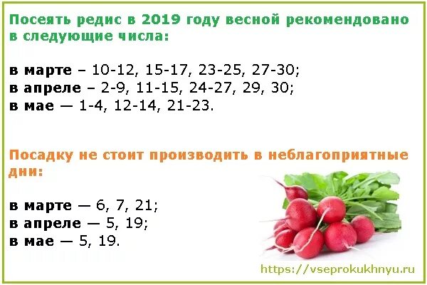 Благоприятные дни для посадки редиски. Благоприятный день для посадки редиса. Лунный календарь для посадки редиски. Благоприятные дни для посева редиски в апреле. Благоприятные дни для посадки редиса в апреле.