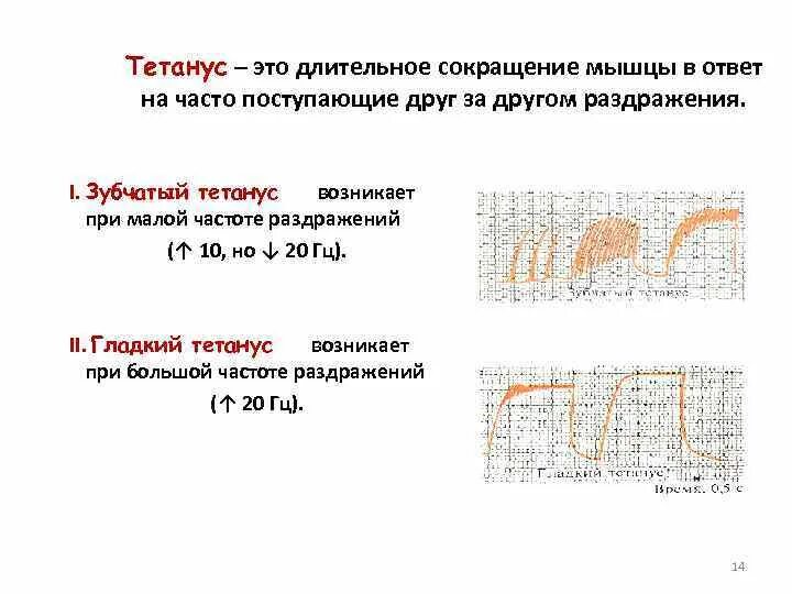 Длительное сокращение мышцы