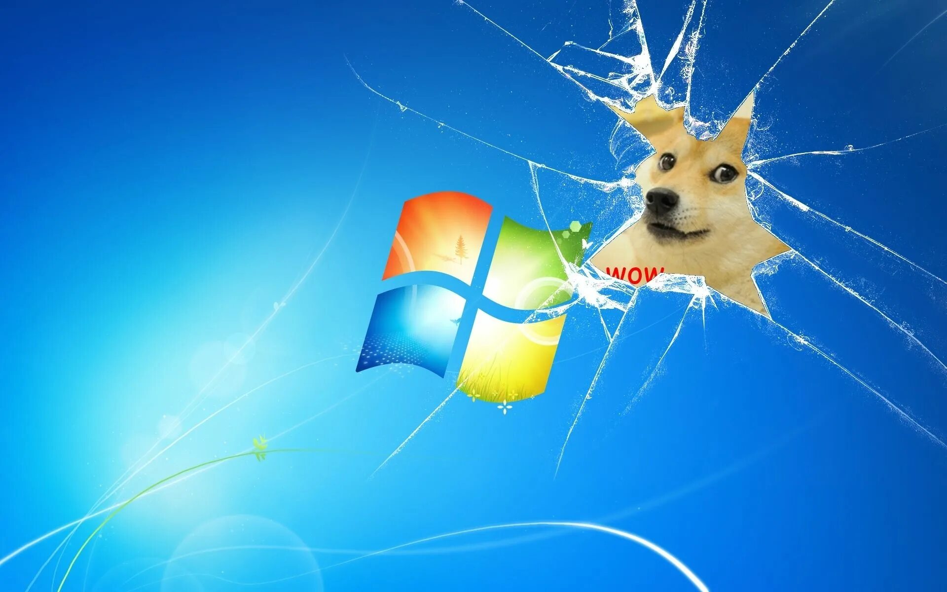Собака Windows. Собака Windows XP. Windows 7 собака. Заставка виндовс.