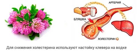 Настой от холестерина
