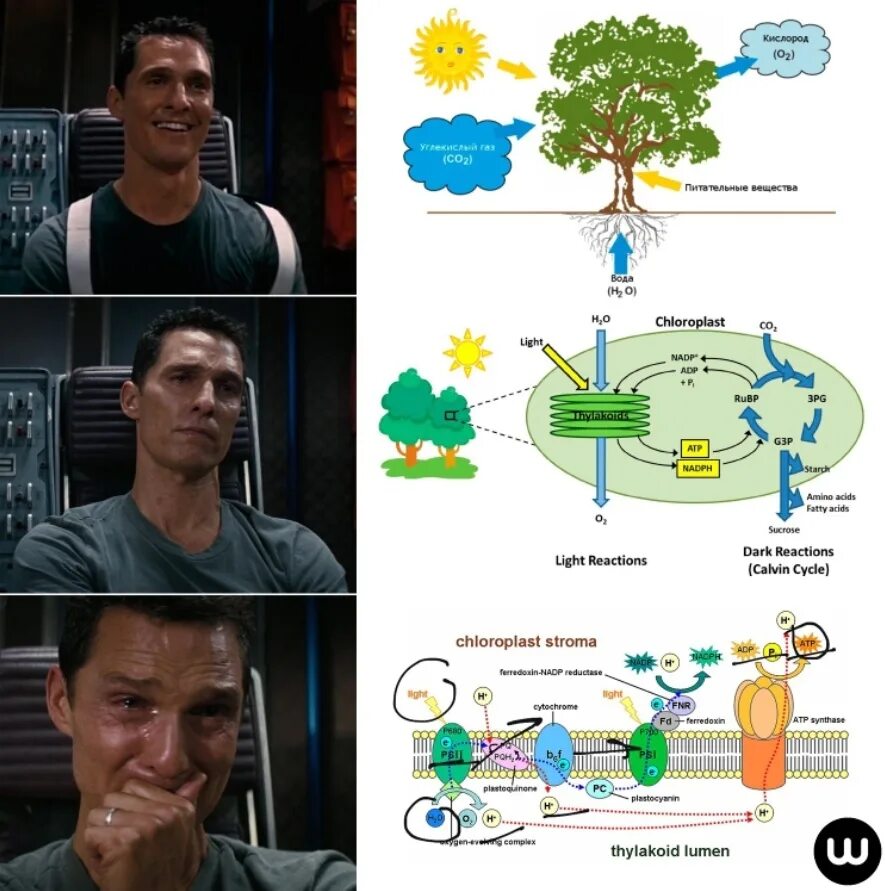 Химик мем стонкс. Мем биолог. Биолог микробиолог мем. Приколы про биологов. Мемы про егэ по биологии.