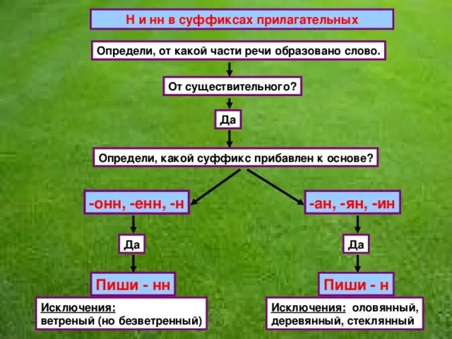 Определи от какой части речи образовано слово. Н И НН В прилагательных. Корова какой суффикс. Правописание НН В разных частях речи.