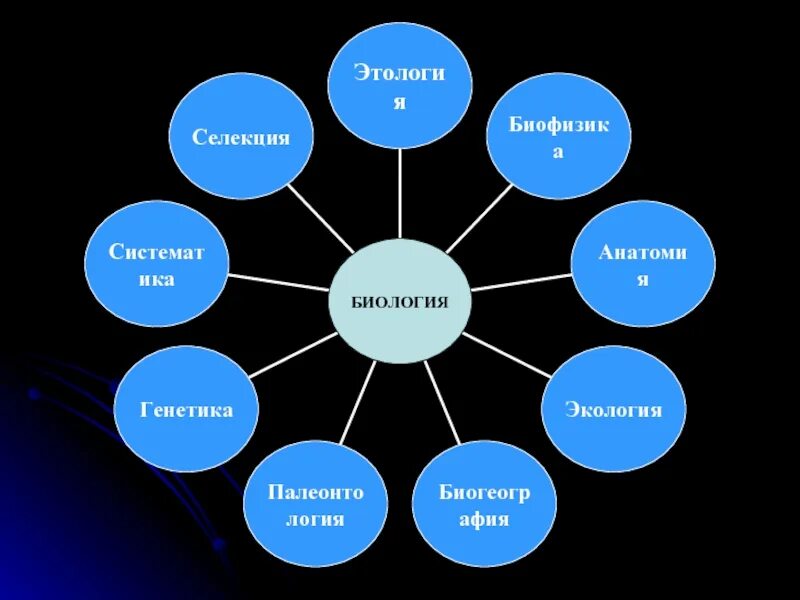 Биологические системы используют. Кластер биология. Биологические науки. Кластер на уроках биологии. Биология наука о живой природе.