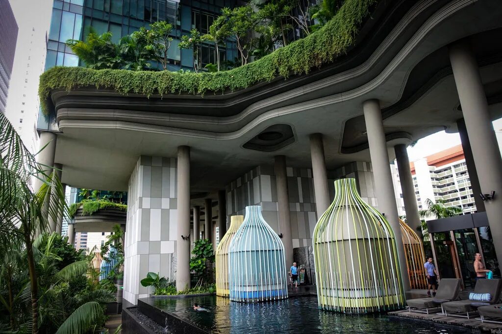 Самый зеленый класс. Зеленая крыша здания Сингапур parkpoyal. Сингапур жилые кварталы. Sofitel Сингапур здание. Жилой комплекс интерлейс Сингапур.