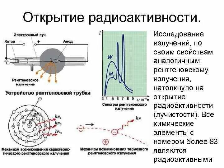 Типы радиоактивности рентгеновское излучение. Ядерный реактор по спектру нейтронов. Открытие радиоактивности и исследования в области атомного ядра.