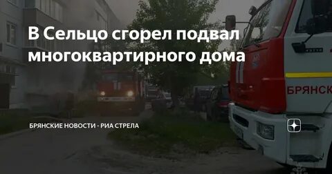 Брянск сельцо новости