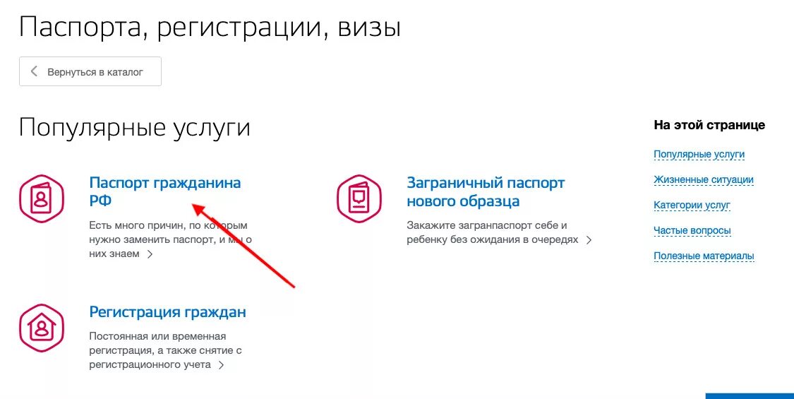 Временная регистрация граждан рф через госуслуги. Госуслуги картинка.
