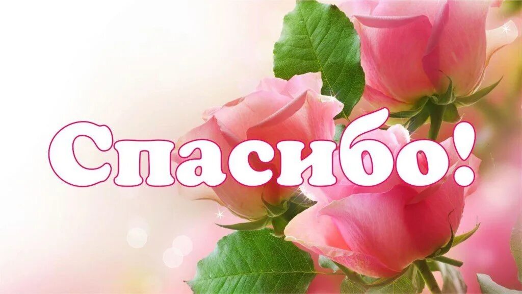 Благодарю вас за это