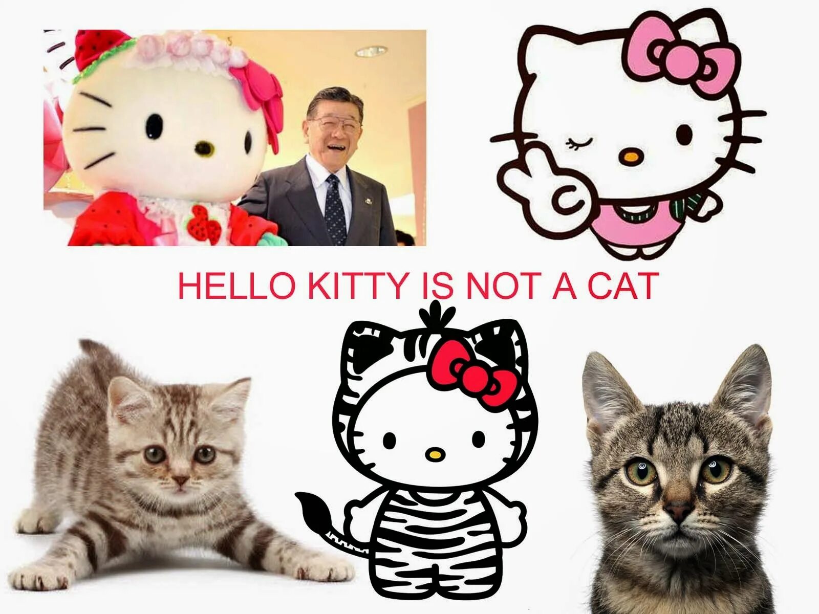 Hello i cat. Кошка hello kitty. картинки hello kitty. кошка из хеллоу китти. фирма хеллоу китти.