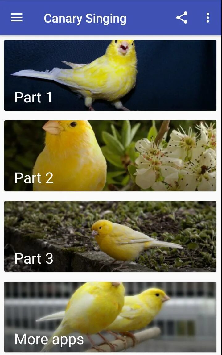 Canary mod. Канарейка песня. the pattern of the canary.