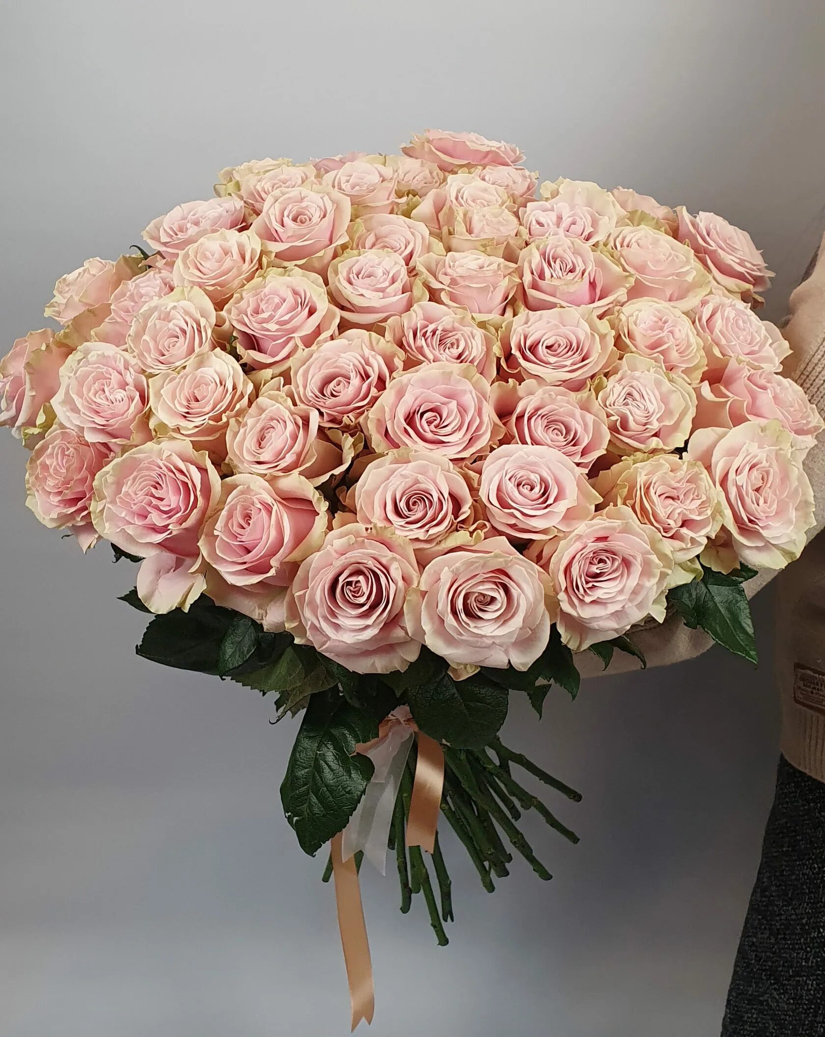 Букет роз "мондиаль пинк". Пинк мондиаль. Пинк мондиаль. Пинк мондиаль. Пинк мондиаль.