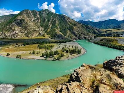 Алтай местные