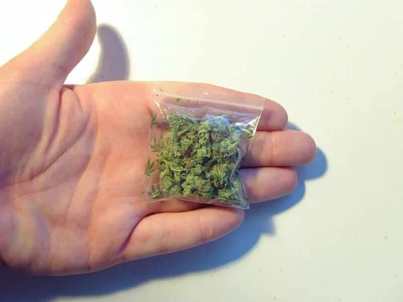 Dime Of Weed Size Store veter-komforta.ru