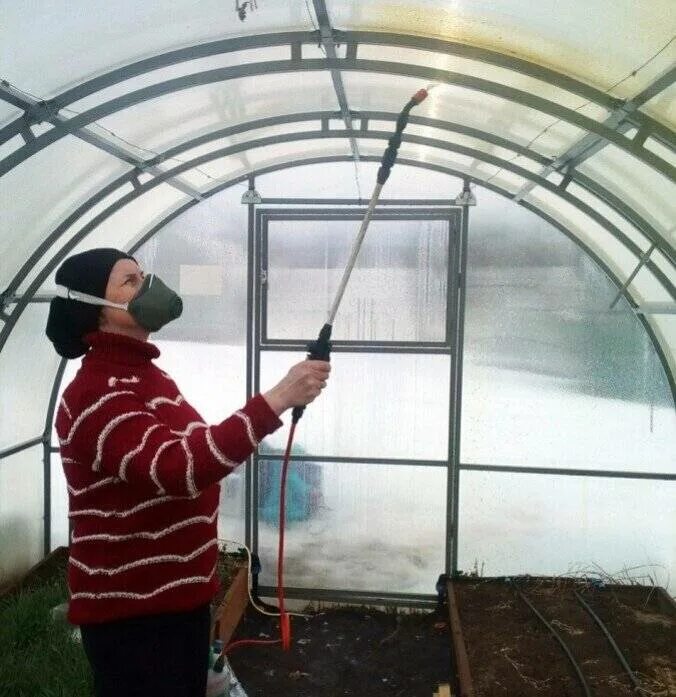 Чем обработать землю в теплице