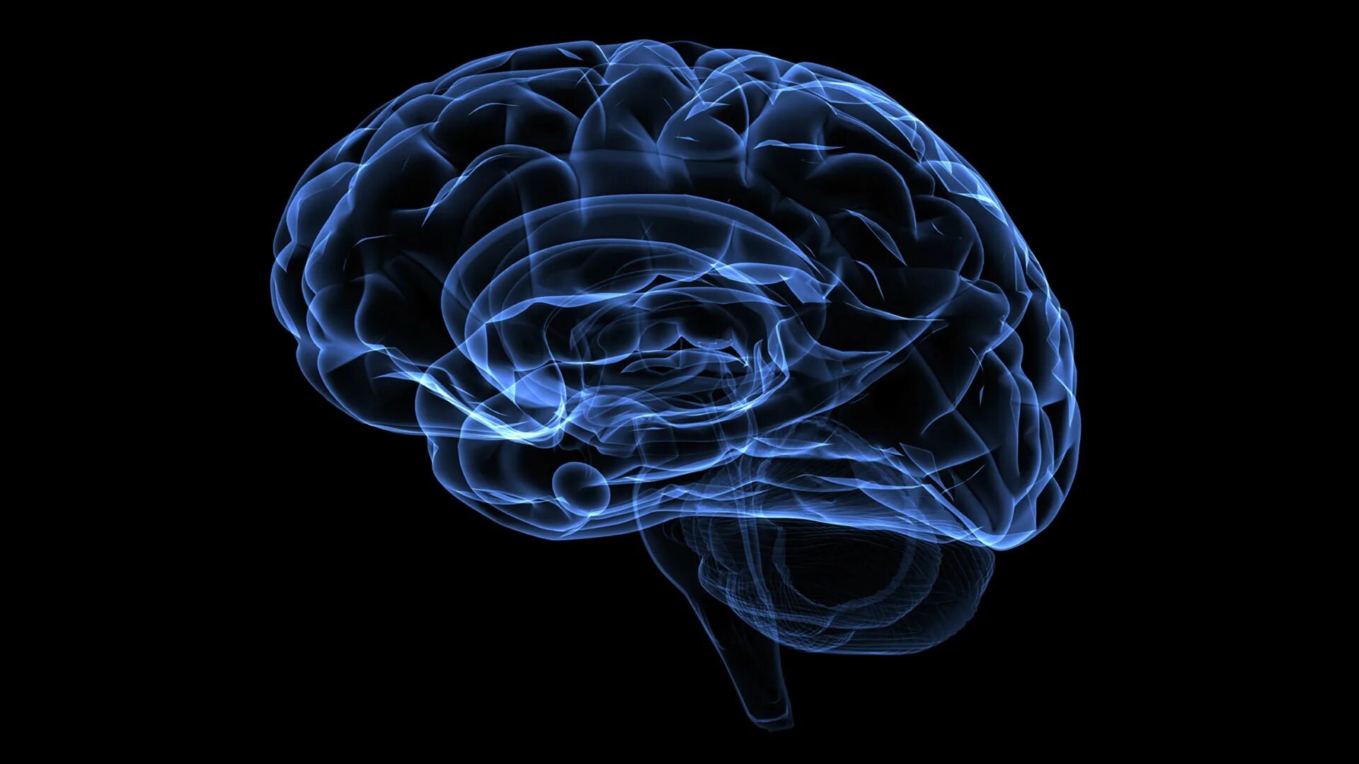 Технический мозг. Brain Smart. Smart мозг. Brain Smart картинки. Магазин Smart Brain.