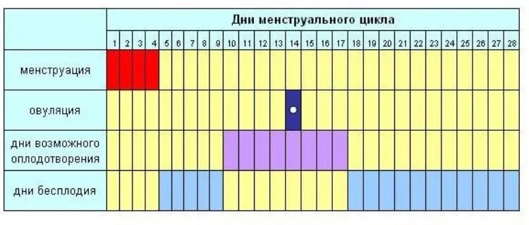 Дни овуляции. Календарь овуляции. Опасные и безопасные дни цикла. Календарный метод беременности