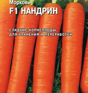 Морковь нандрин