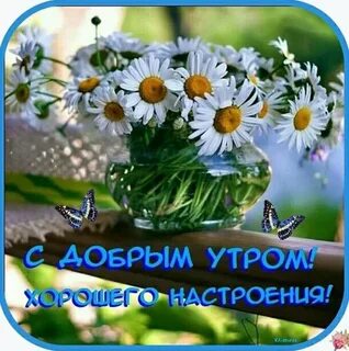 Доброе утро картинки с цветами пожелания здоровья