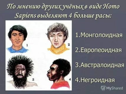 К детям рас относятся