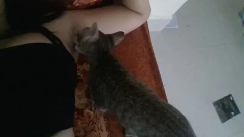Собаке отлизать перископ