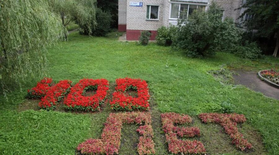 Клумба буква. Цифры из цветов на клумбе. Цветник амфитеатр в царском селе. Клумба площадь победы калининград. Буквы из цветов на клумбе.