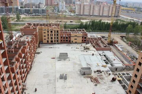 Корона дубна